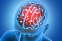 3D male figure with brain parts  highlighted