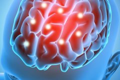 3D male figure with brain parts  highlighted