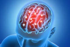 3D male figure with brain parts  highlighted