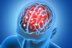 3D male figure with brain parts  highlighted