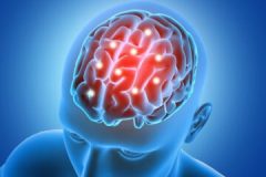 3D male figure with brain parts  highlighted