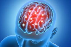 3D male figure with brain parts  highlighted