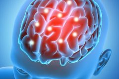 3D male figure with brain parts  highlighted