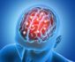 3D male figure with brain parts  highlighted