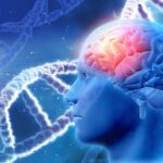 3D medical background with brain and DNA strands